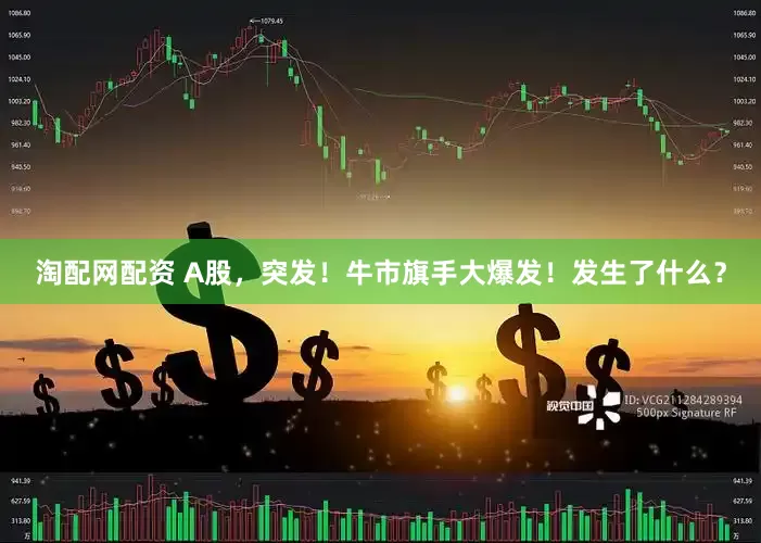 淘配网配资 A股，突发！牛市旗手大爆发！发生了什么？